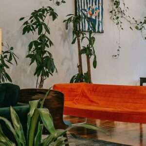 rent properties in Larnaca