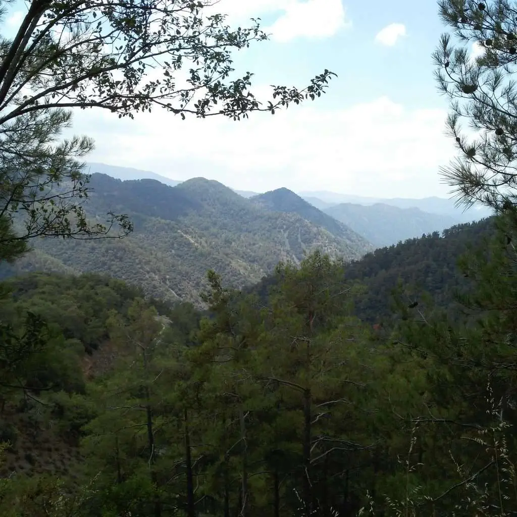 Troodos in Summer