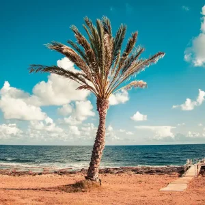 Cyprus in October